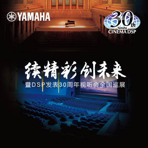 庄闲和游戏"续精彩·创未来"暨DSP发表30周年视听会 (广州站）